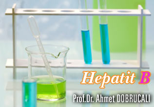Hepatit b