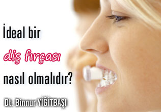 İdeal bir diş fırçası nasıl olmalıdır?