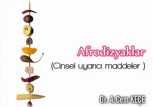 Afrodizyaklar