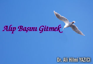 Alıp başını gitmek makalesi