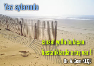 Yaz aylarında cinsel yolla bulaşan hastalıklarda artış var !