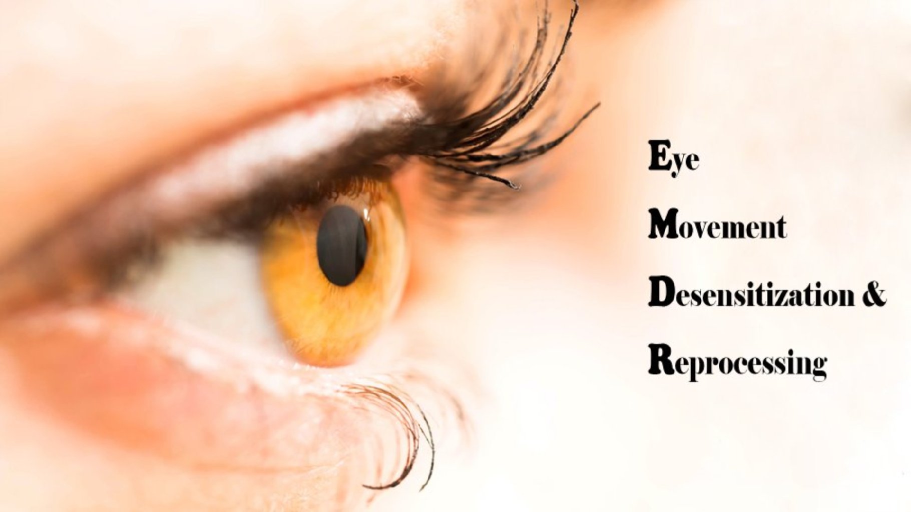 EMDR TERAPİSİ NEDİR?