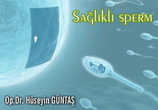 Sağlıklı spermlere sahip olmanın 10 yolu ! makalesi