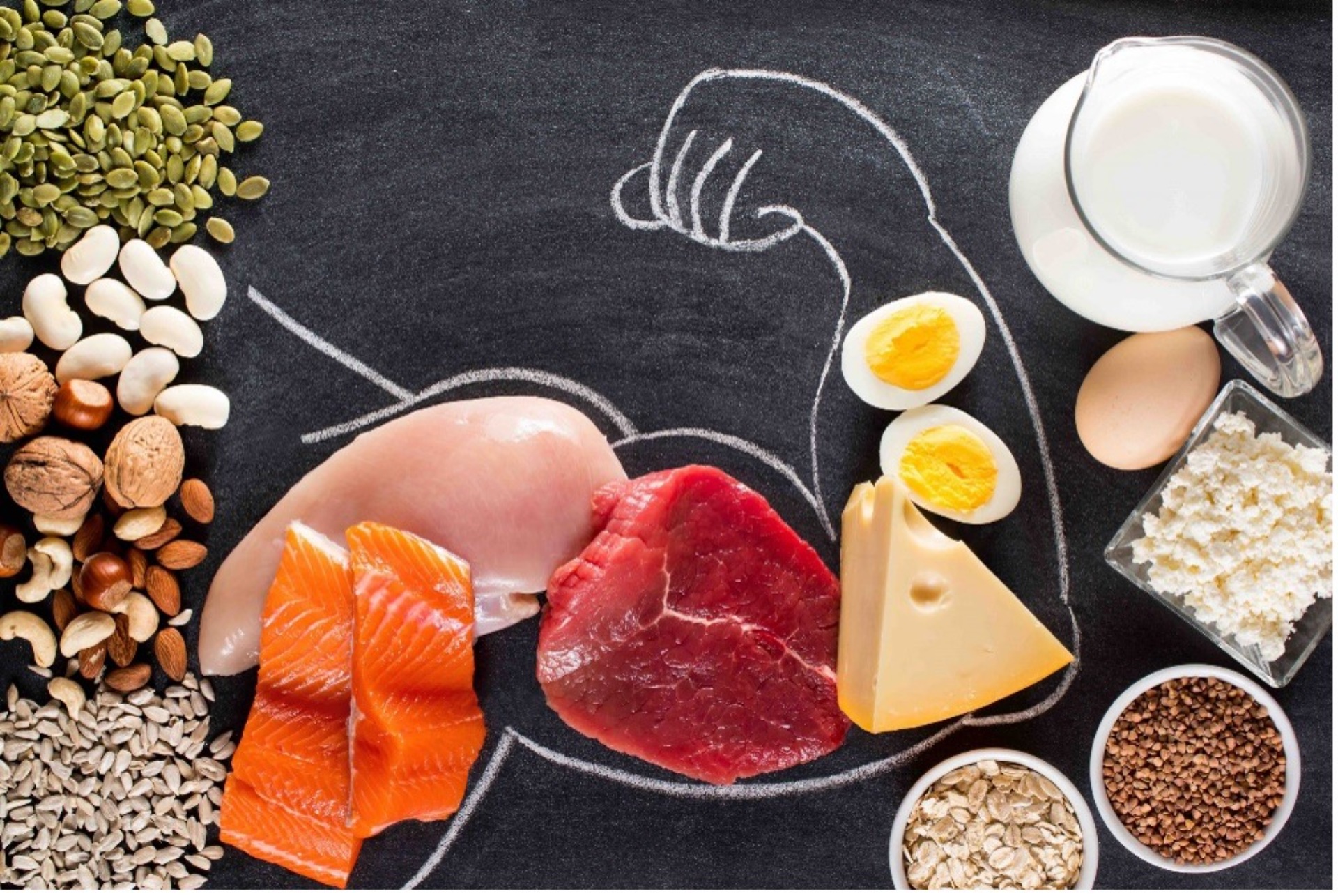 Protein ve Kas Oluşumu Arasındaki İlişki
