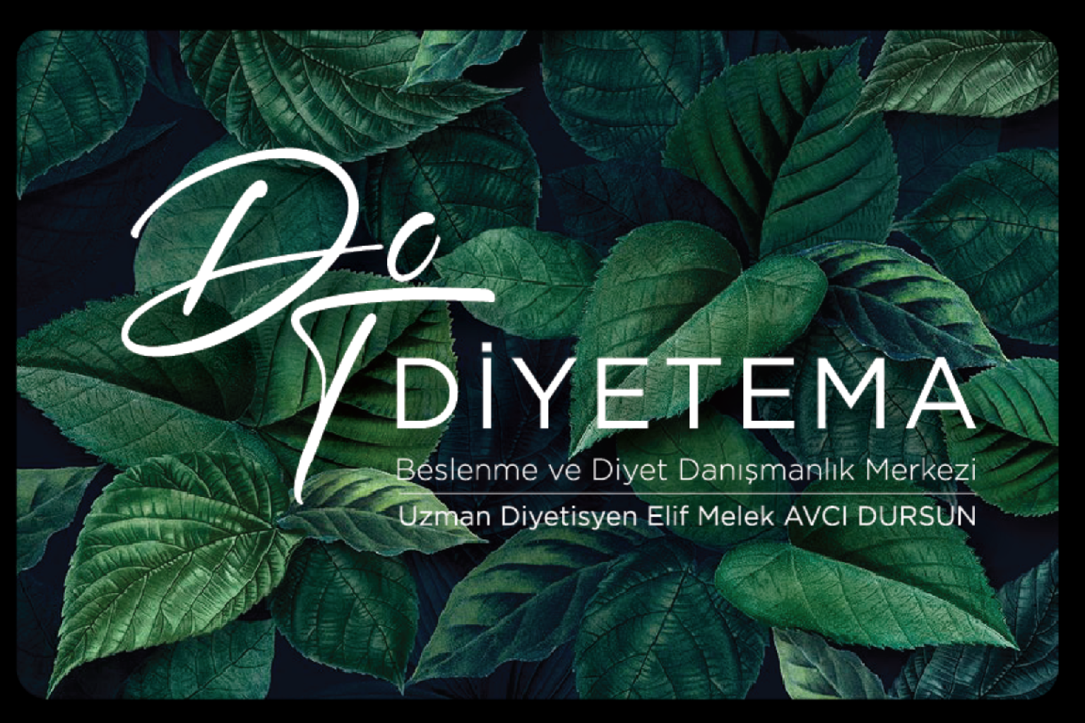 MİTOKONDRİYAL BESLENME makalesi