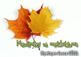 Mevsimler ve metabolizma