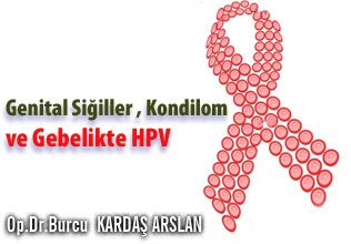 Genital siğiller, hpv , kondilom ve gebelikte hpv