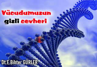 Vücudumuzun gizli cevheri