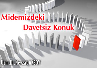 Helicobacter pylori (midemizdeki davetsiz konuk) makalesi