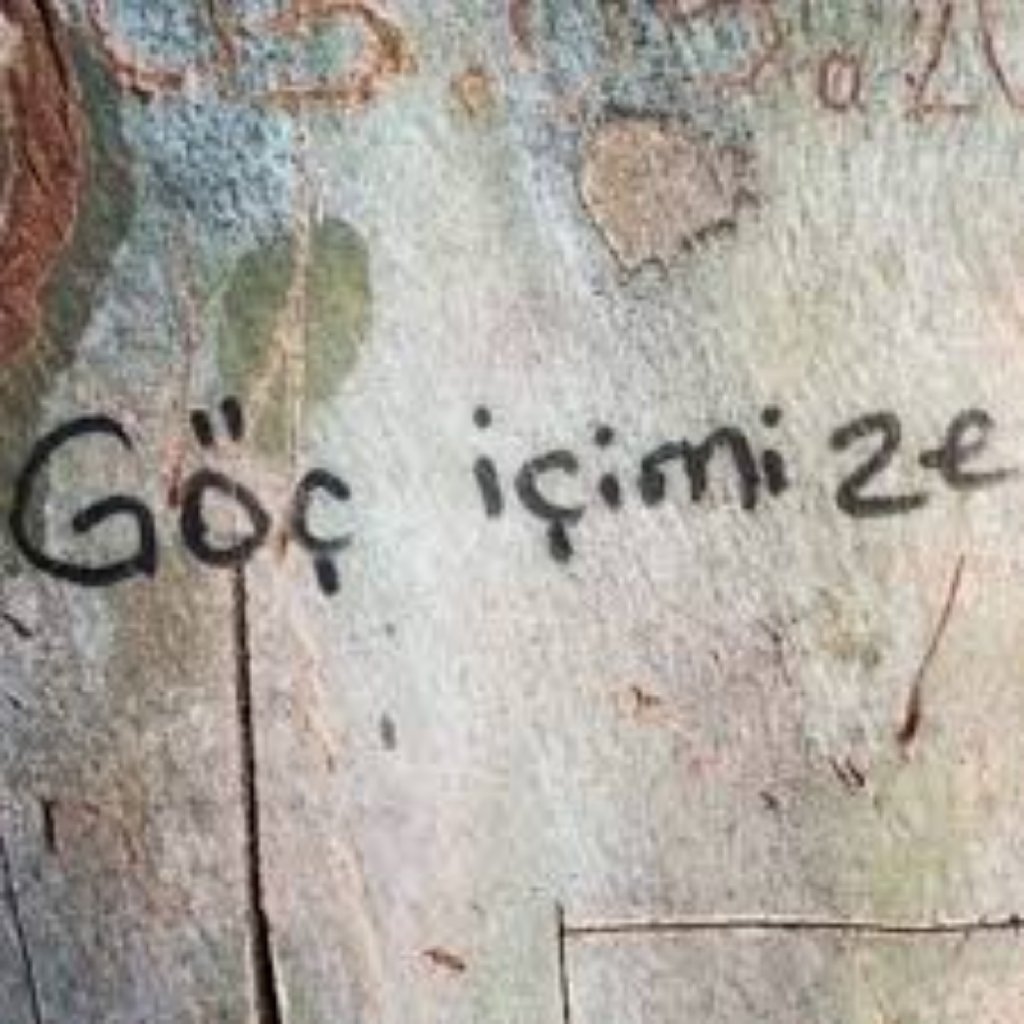EVE DÖNÜŞ: TERAPİ SÜRECİ