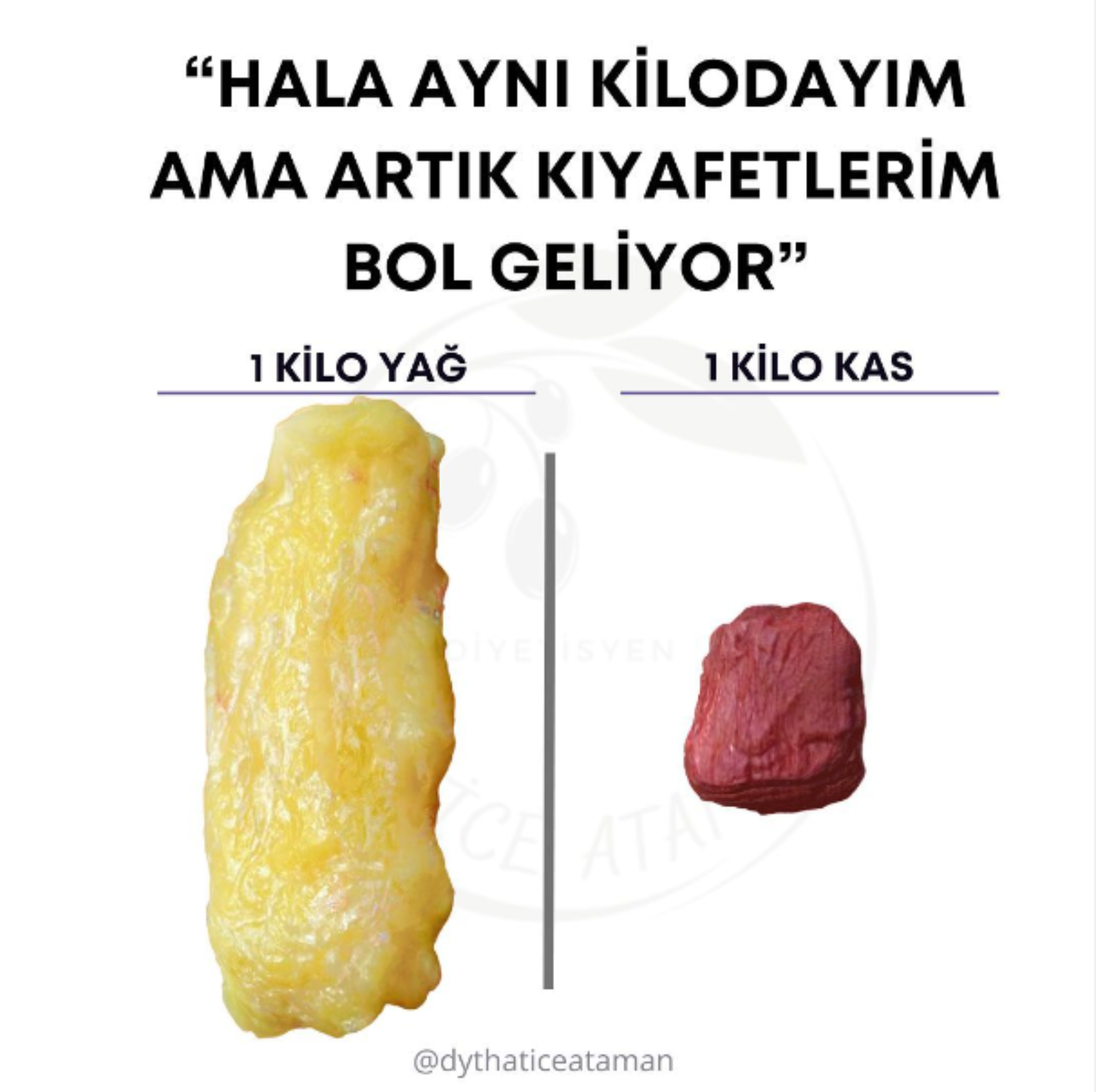 1 kilo yağ mı daha ağırdır 1 kilo kas mı ? :) makalesi