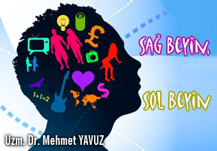Sağ beyin, sol beyin