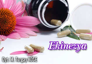 Ekinezya
