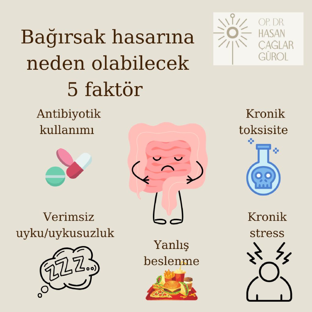 Bağırsak hasarına neden olabilecek 5 faktör