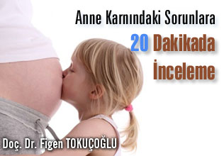 Anne karnındaki sorunlara 20 dakikada inceleme makalesi