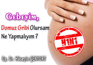Gebeyim, domuz gribi olursam ne yapmalıyım ? makalesi