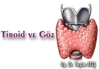 Tiroid ve göz