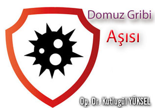 Domuz gribi aşısı