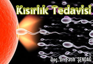 Çiftler için Kısırlık Tedavisi