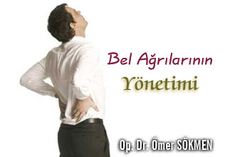Bel ağrısı ve bel fıtığı makalesi