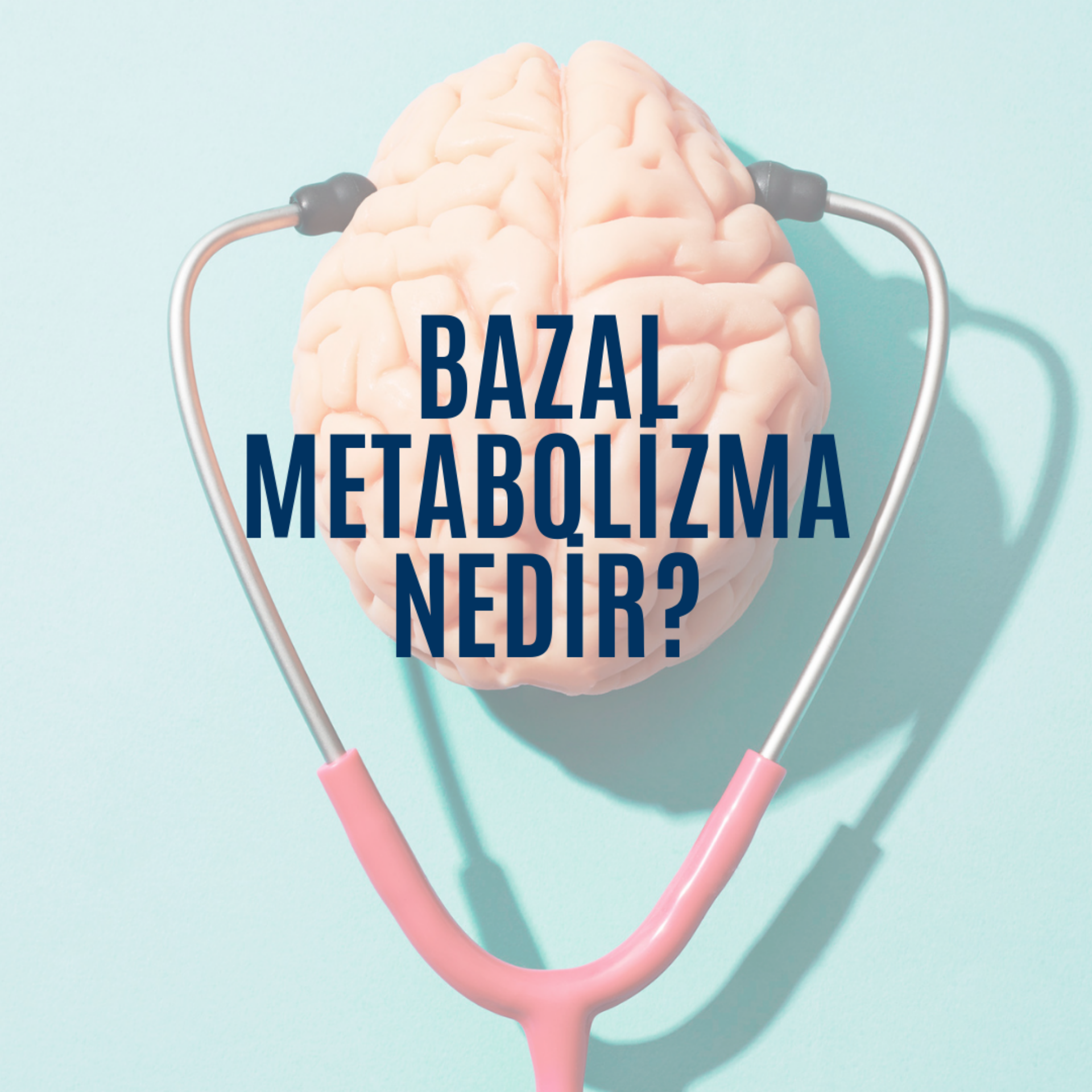 Bazal Metabolizma Nedir?
