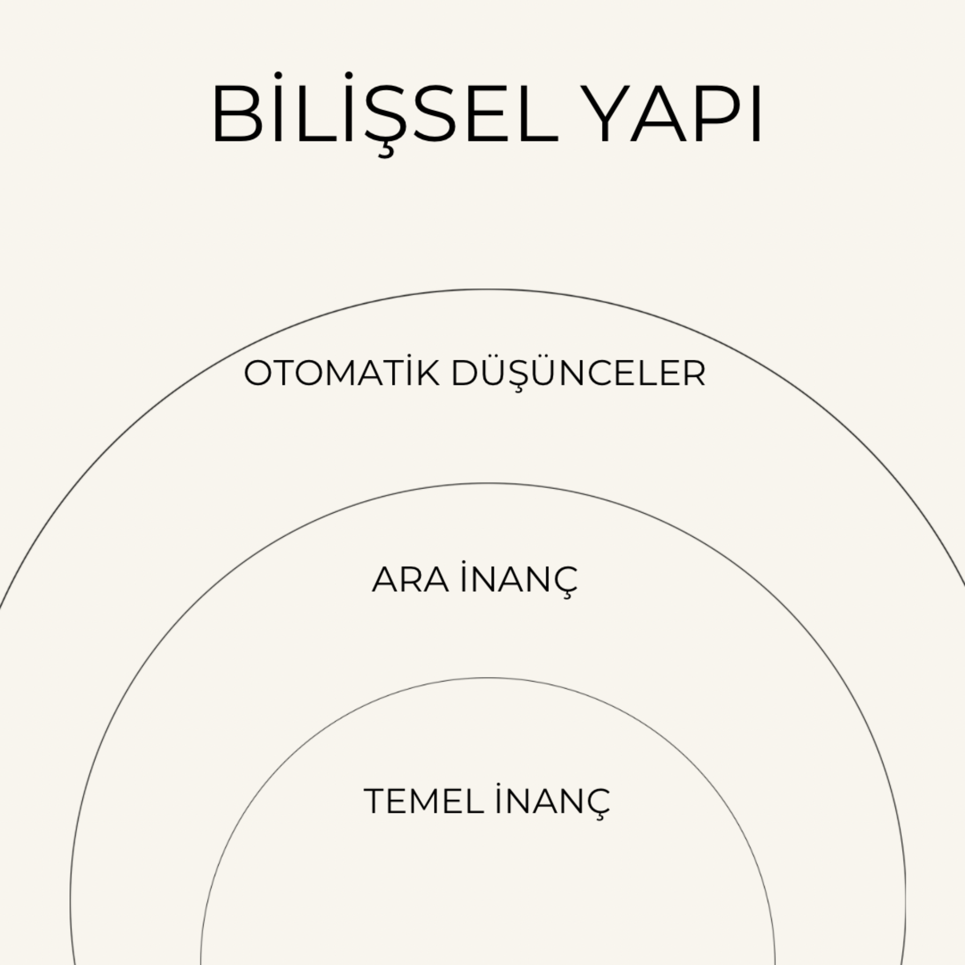 Bilişsel Yapı
