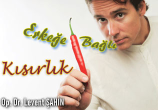 Erkeğe bağlı kısırlık
