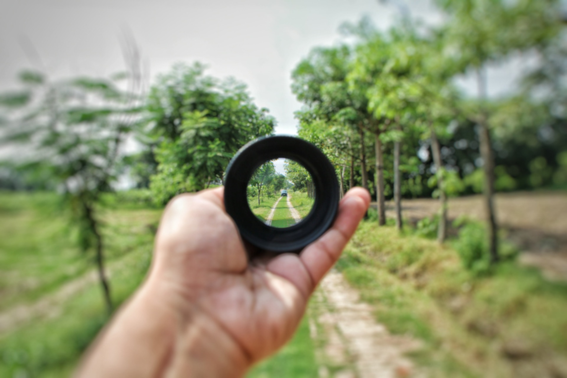 Focusing Psikoterapisi Nedir?