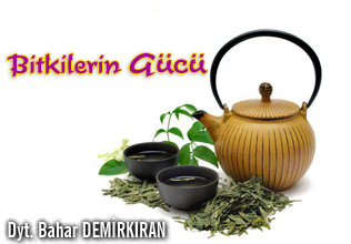 Fonksiyonel çaylar-bitkilerin gücü