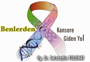 Benlerden kansere giden yol