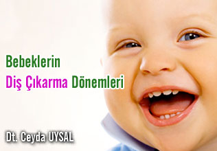 Bebeklerin Diş Çıkarma Dönemleri makalesi