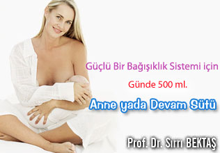 Güçlü Bir Bağışıklık Sistemi için Günde 500 ml. Anne ya da Devam Sütü makalesi