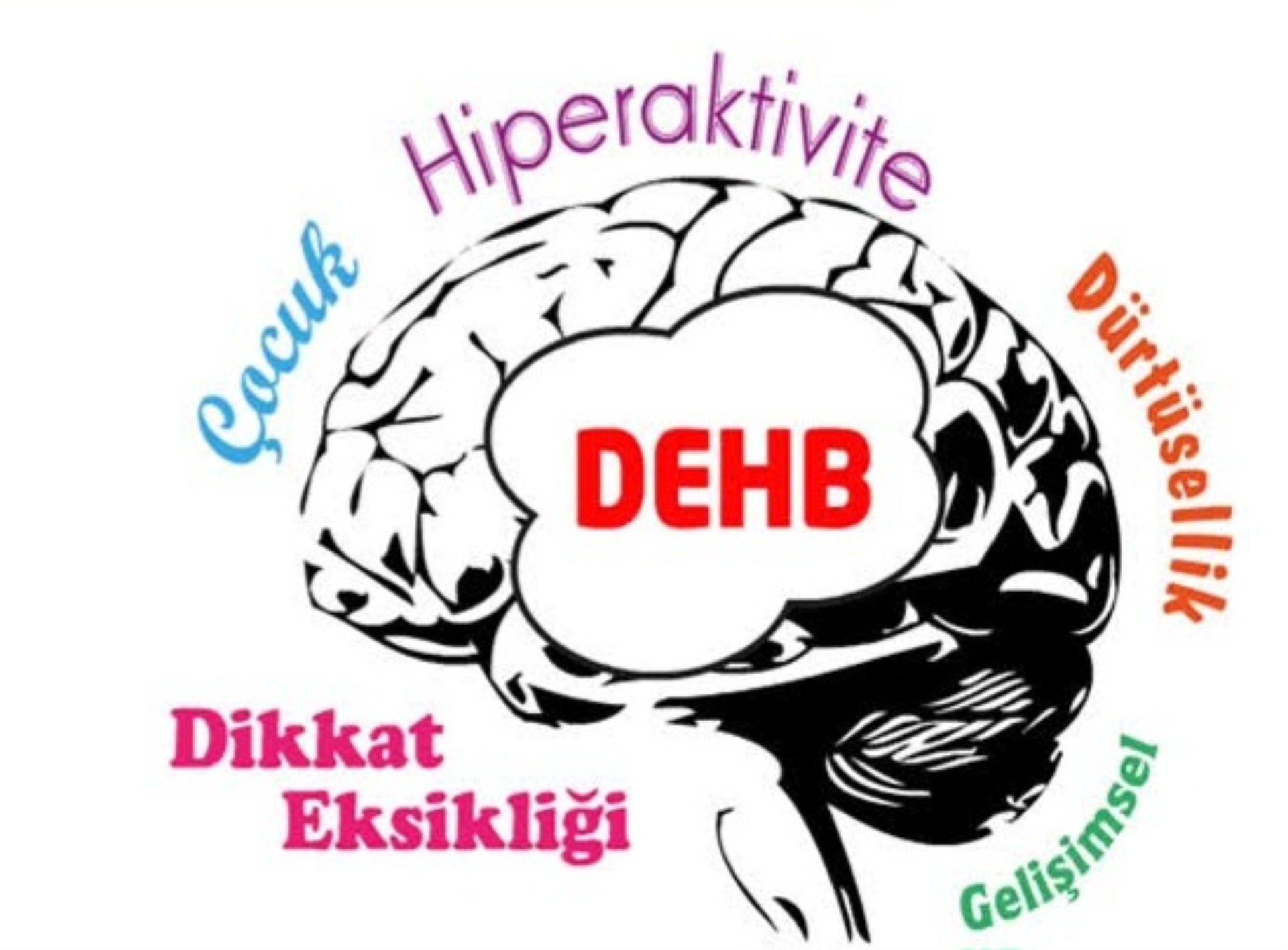 DİKKAT EKSİKLİĞİ VE HİPERAKTİVİTE BOZUKLUĞU (DEHB)