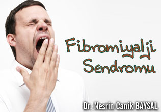 Fibromiyalji Sendromu makalesi