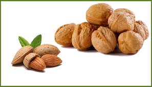 Omega-3 ve Omega-6 Yağ Asitleri ve Sağlıklı Beslenme