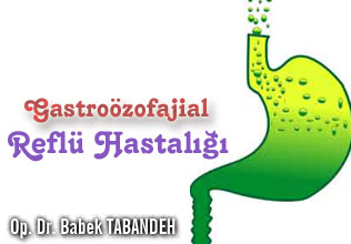Gastroözofajial Reflü Hastalığı makalesi