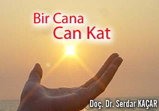 Bir cana can kat