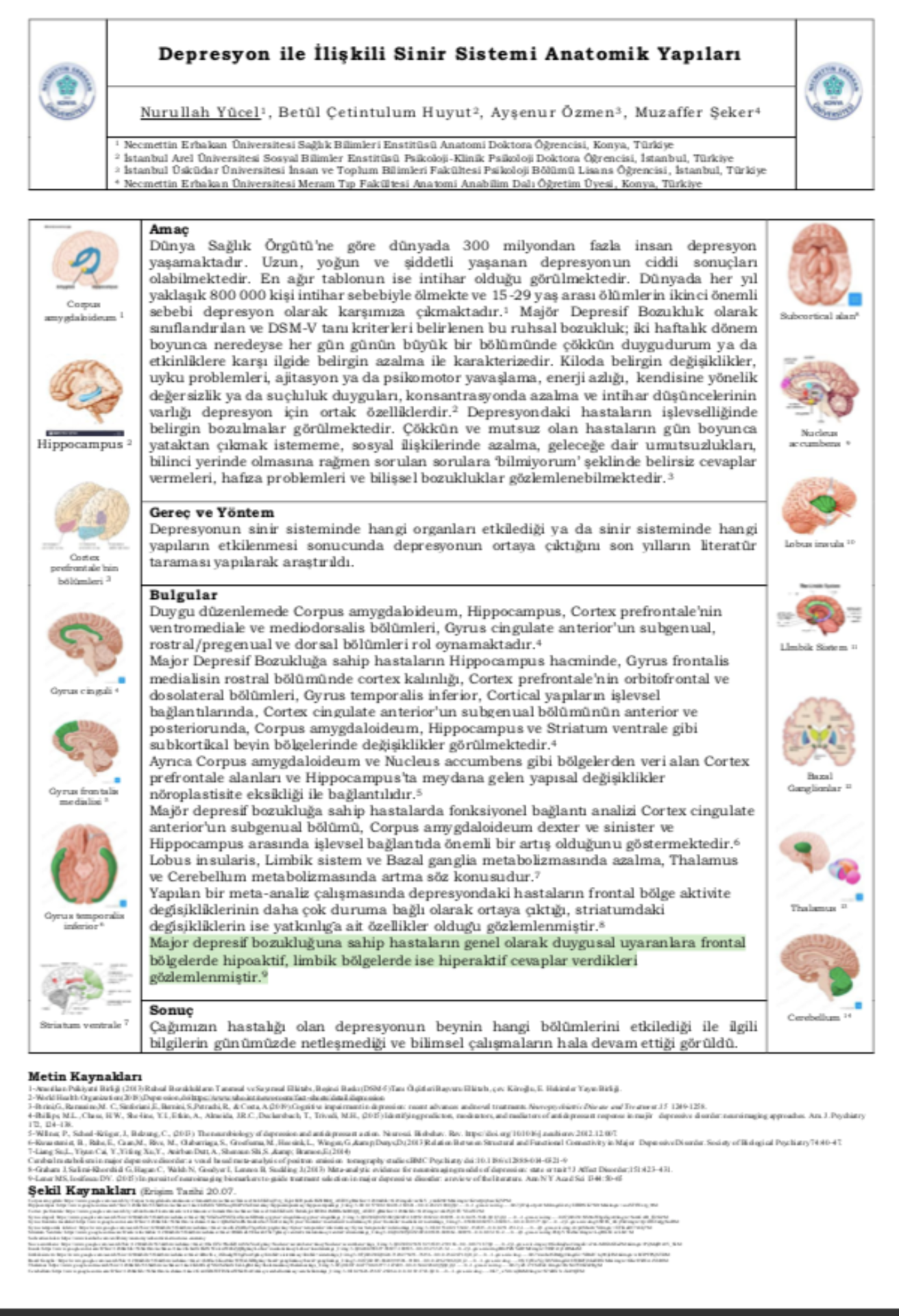 Depresyon ile İlişkili Sinir Sistemi Anatomik Yapıları