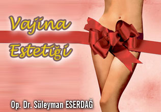 Vajina  estetiği