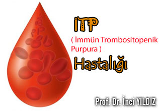 İTP İmmün Trombositopenik Purpura  Hastalığı makalesi