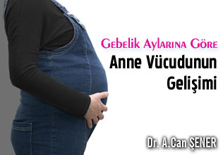 Gebelik aylarına göre anne vücudunun gelişimi