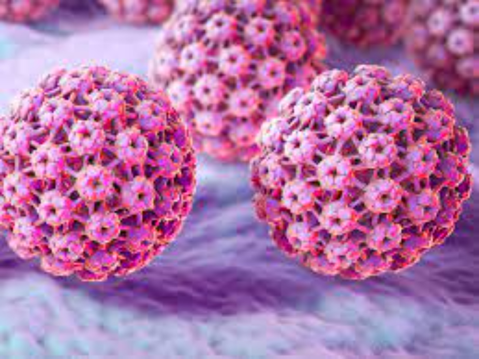 Genital Siğilden Rahim Ağzı Kanserine HPV Enfeksiyonu makalesi
