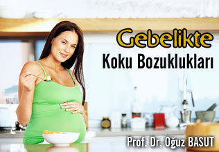 Gebelikte Koku Bozuklukları makalesi