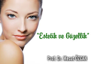 Estetik ve güzellik denilen şey.