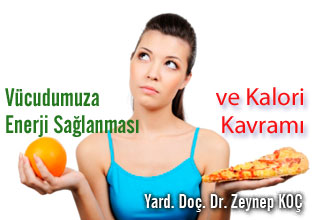 Vücudumuza enerji sağlanması ve kalori kavramı
