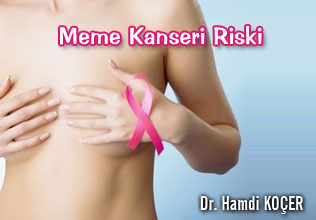 Meme Kanseri Riski makalesi