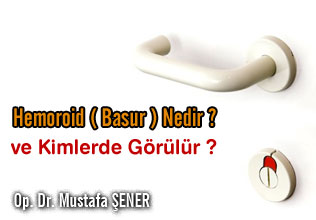 Hemoroid ( Basur ) Nedir ve Kimlerde Görülür ?