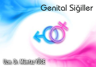 Genital Siğiller ( Condiloma Akimunatum ) makalesi