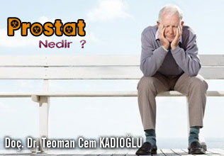 Prostat nedir ? makalesi