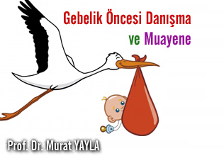 Gebelik Öncesi Danışma ve Muayene
